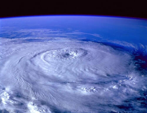 Best Hurricane Damage Attorney in South Carolina 2026